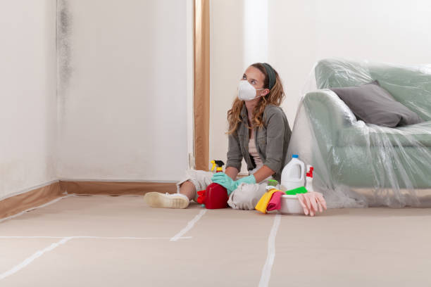 Reliable Black Mold Removal contractor in Williamstown, PA by WQB Mold Removal